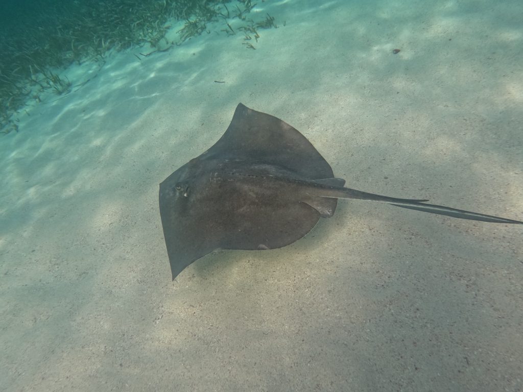 DCIM\100GOPRO\GOPR2592.JPG